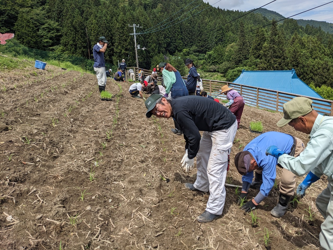 祖谷の生活/傾斜地農業