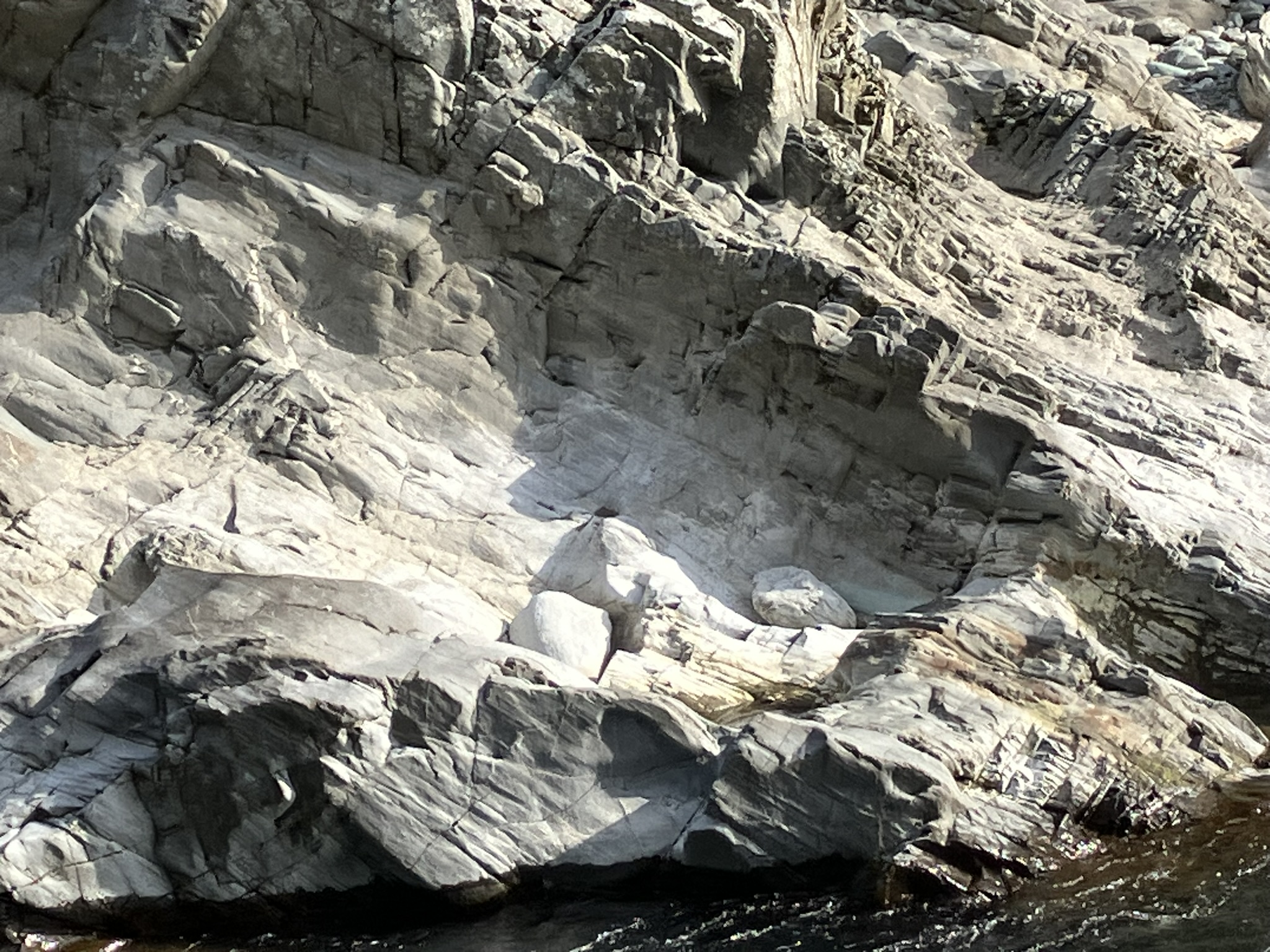 大歩危峡/ポットホール