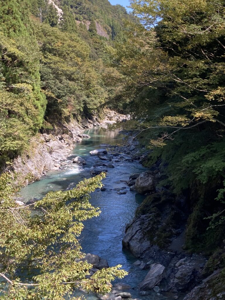 天皇森の下の川
