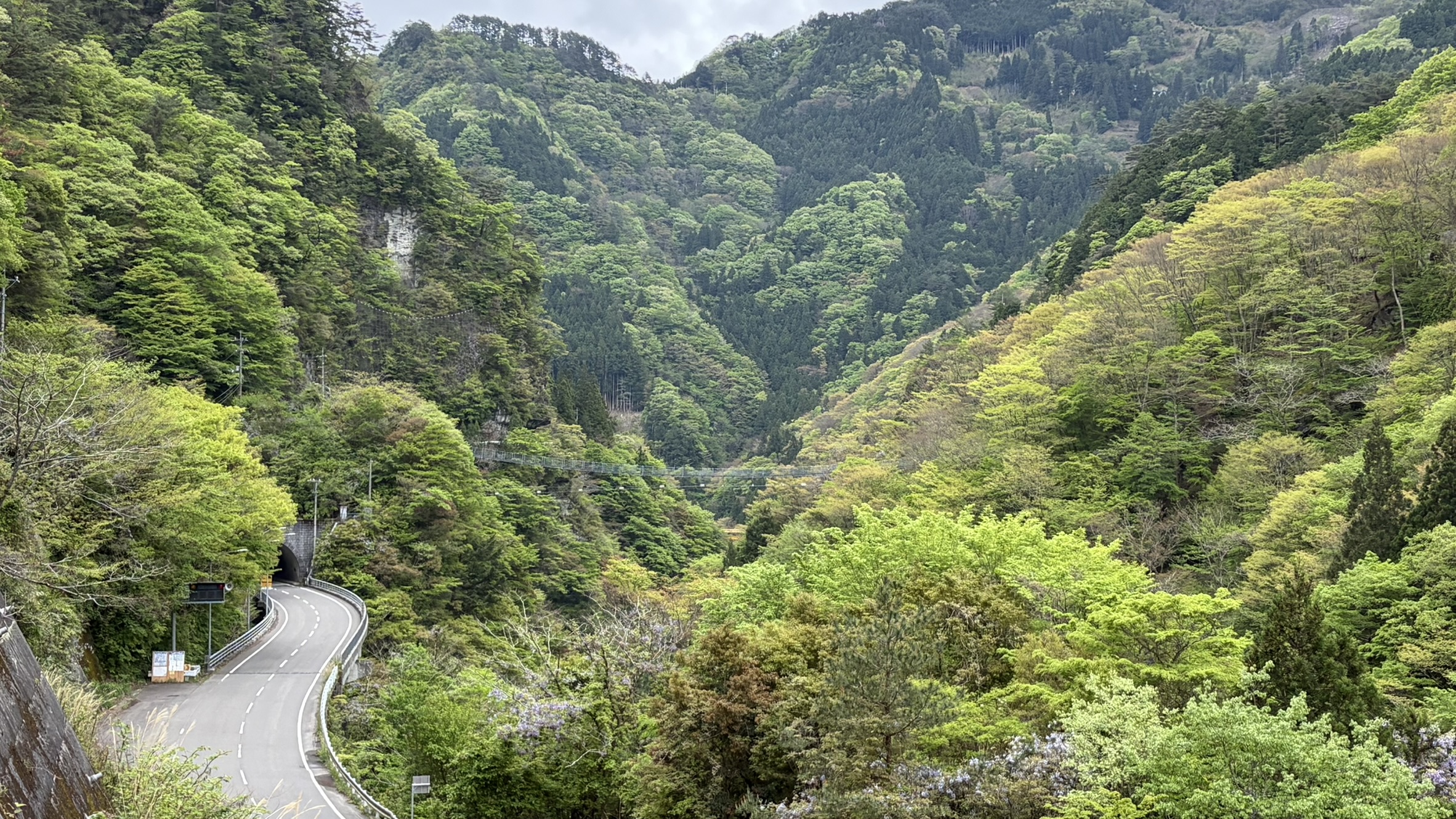 新緑の龍宮崖公園