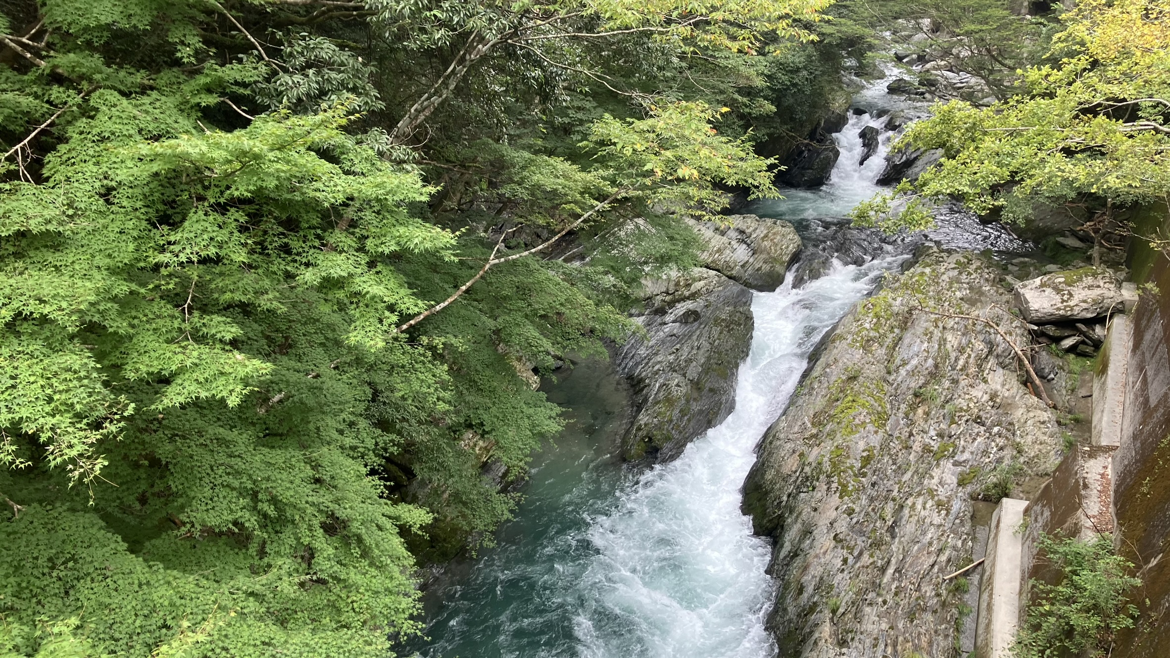大歩危藤川谷/三段渕