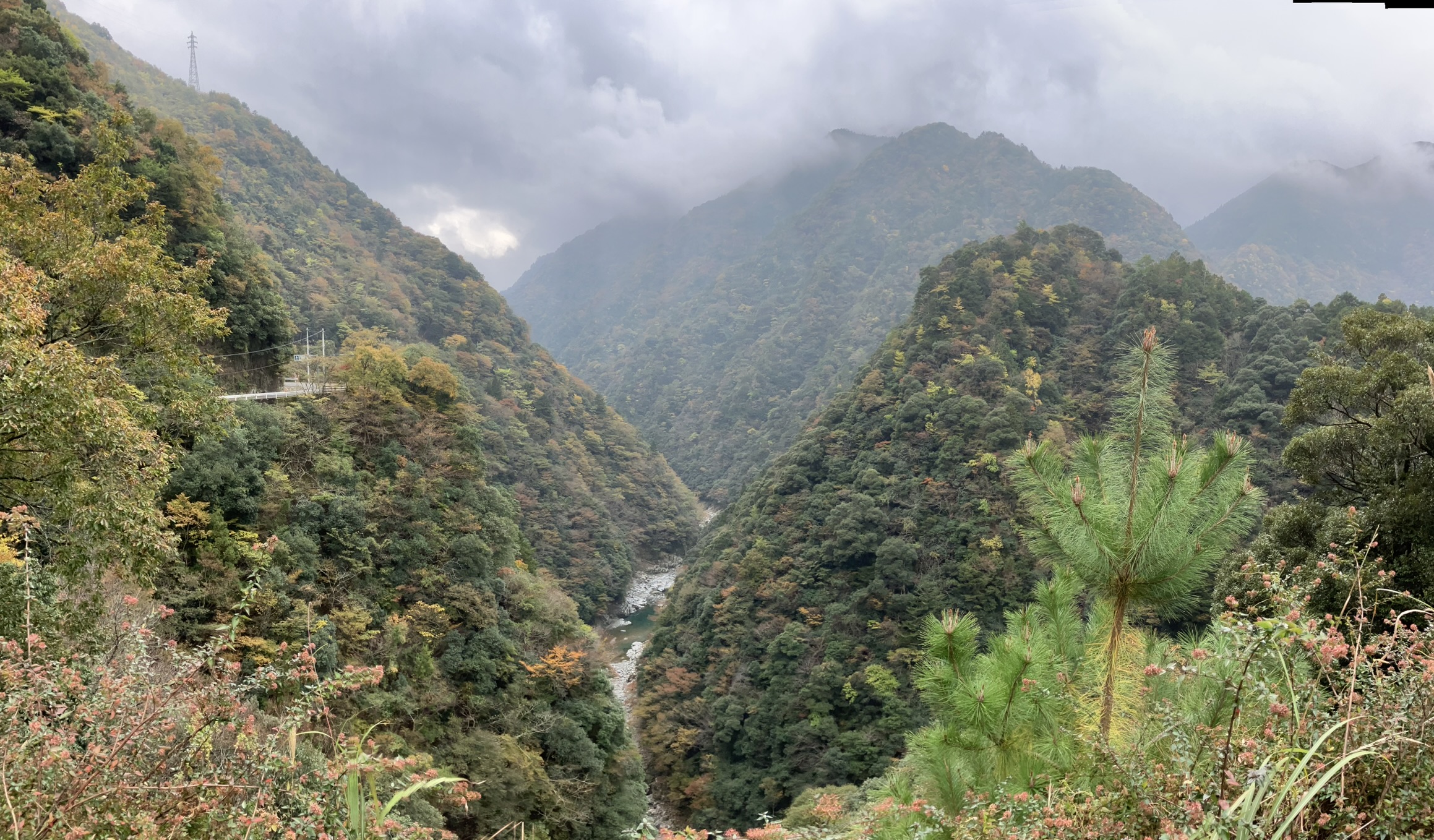 祖谷の観光/祖谷渓展望台のトイレ