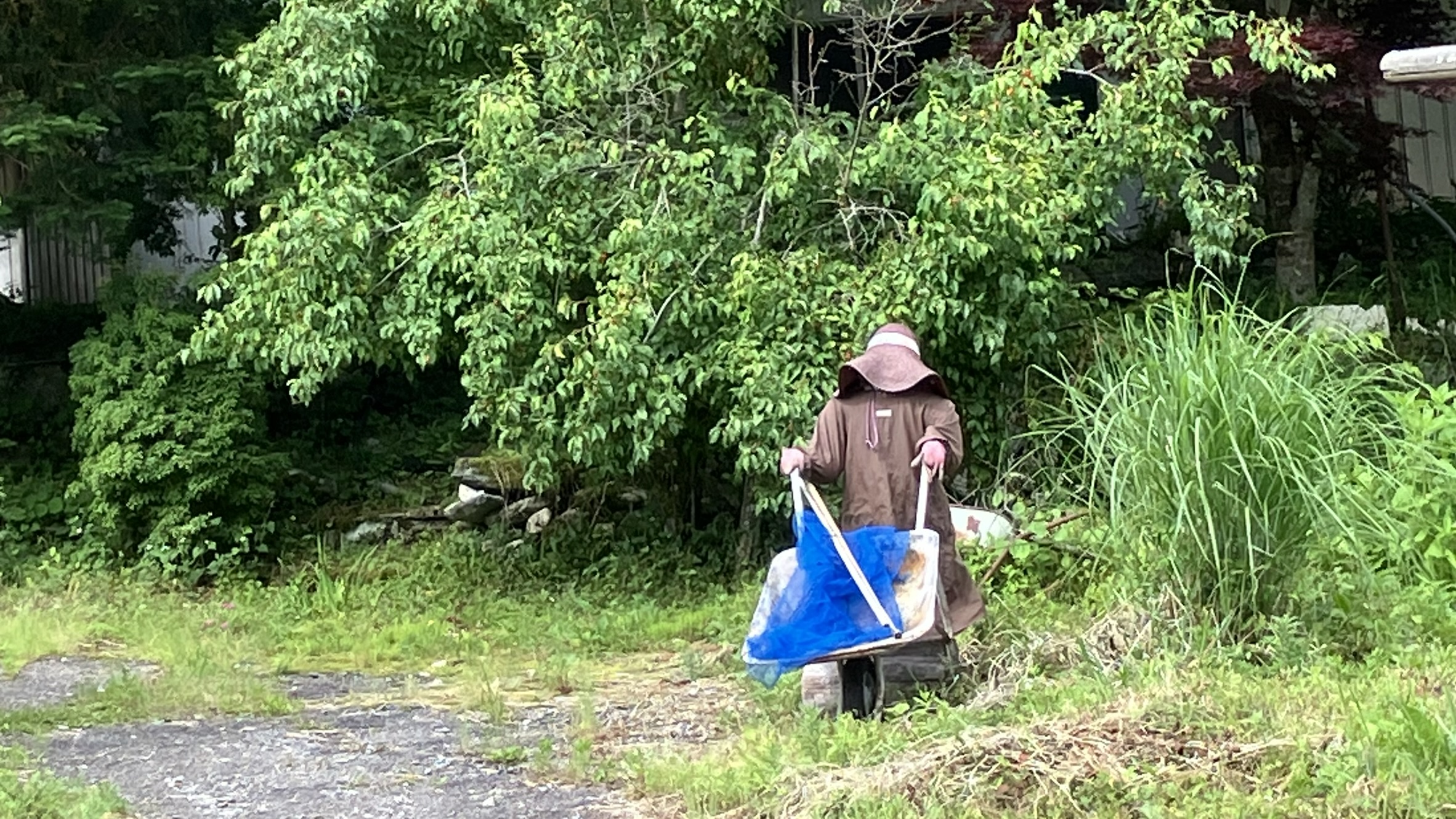 かかしの里のかかし