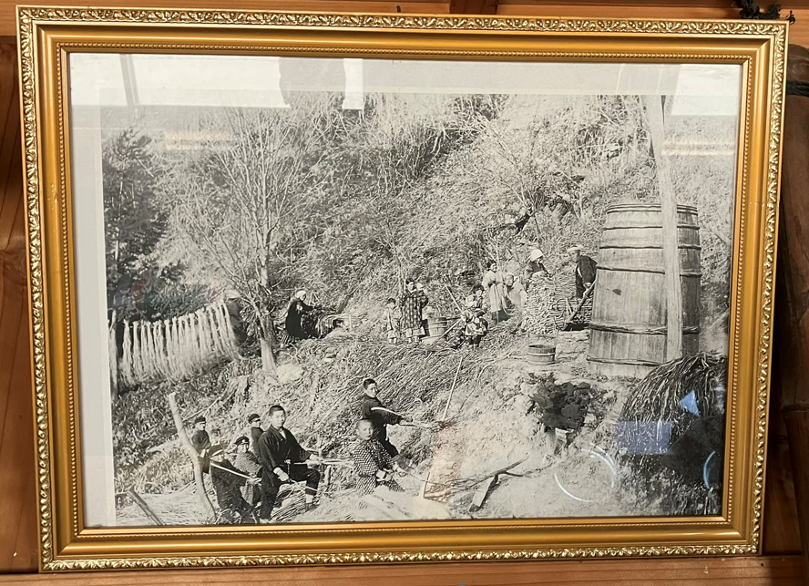 ミツマタを加工する様子