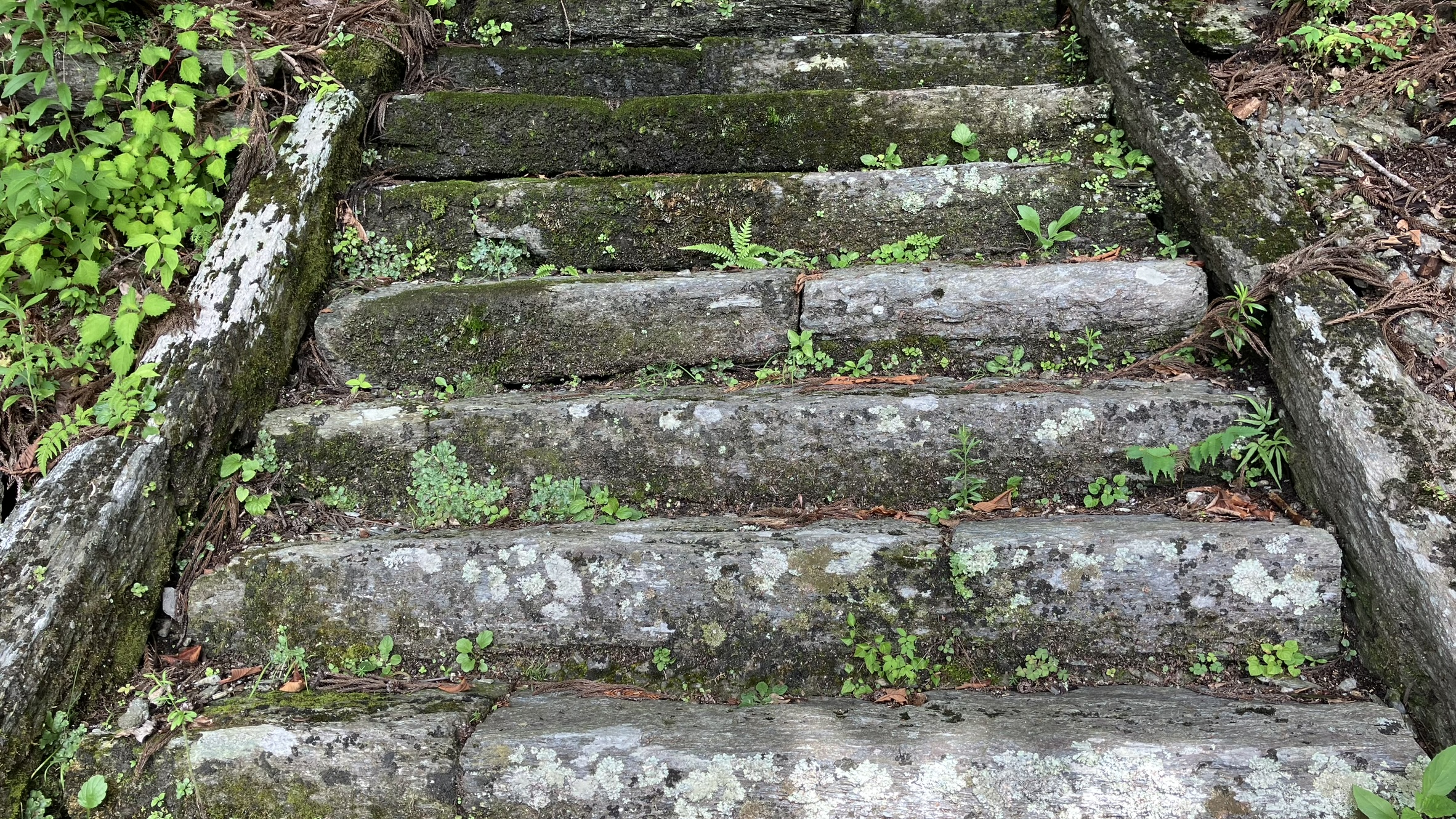 泥質片岩でできた石段