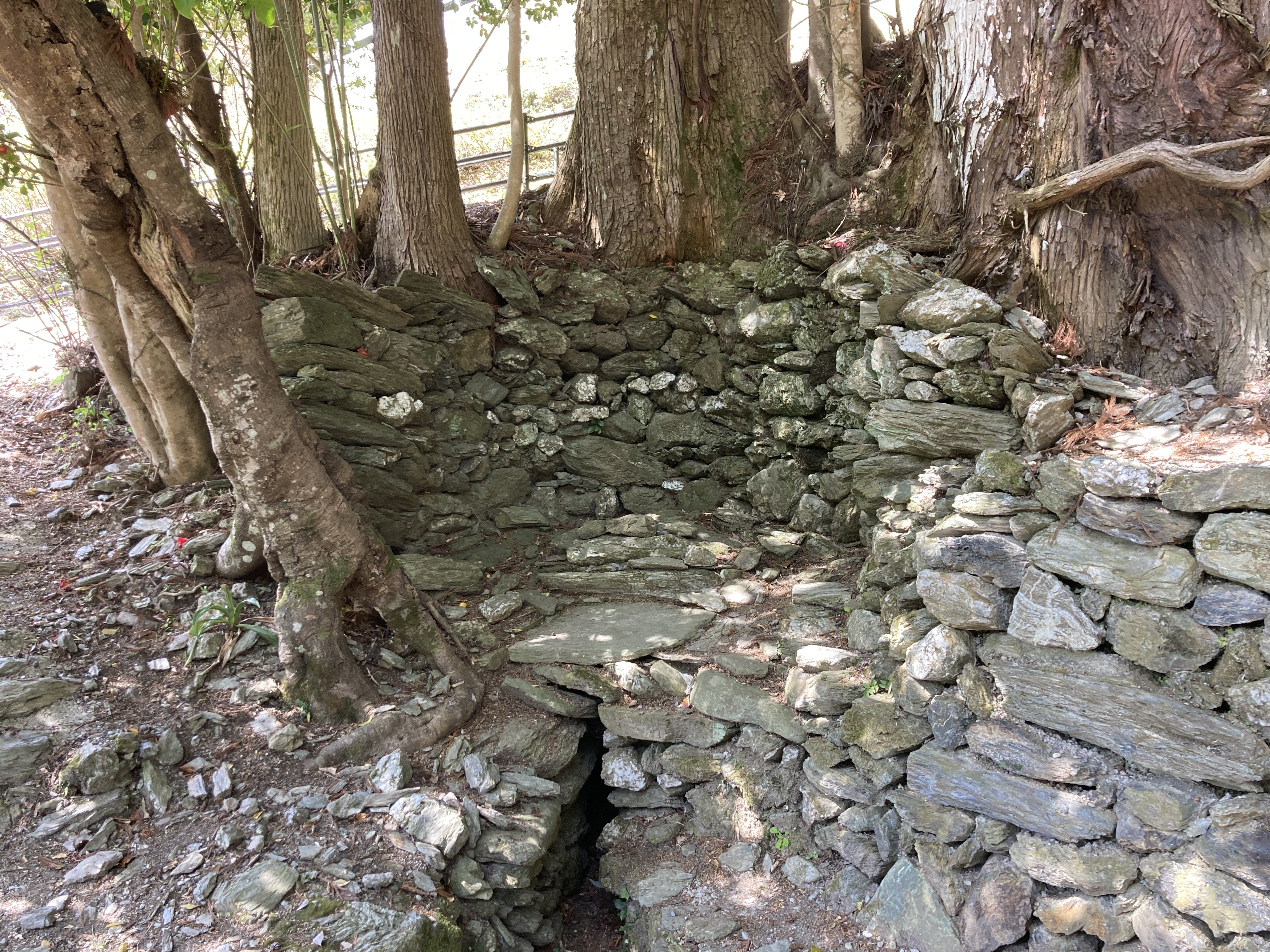 平家屋敷阿佐家住宅の紫の泉