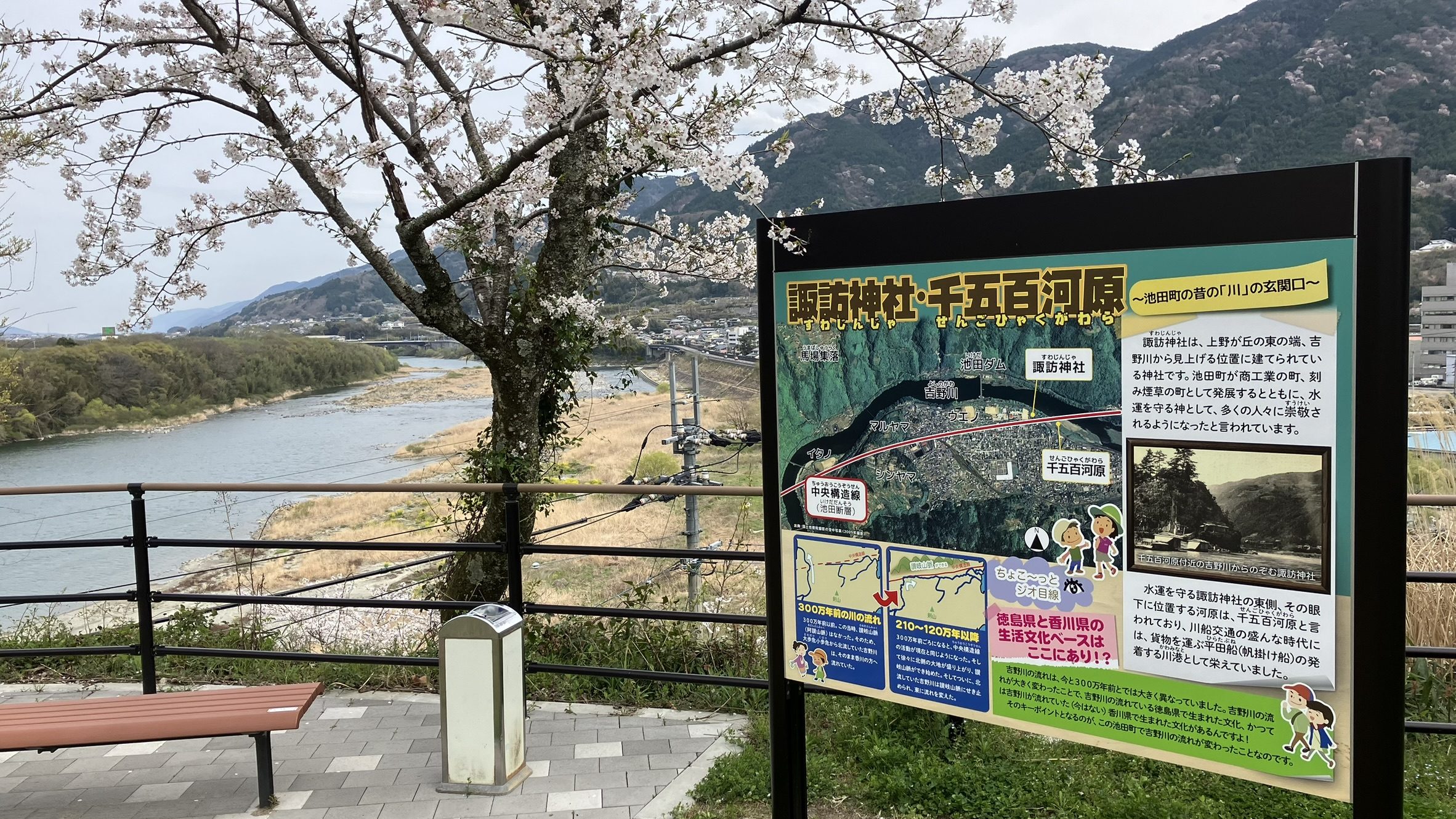 諏訪神社からの風景