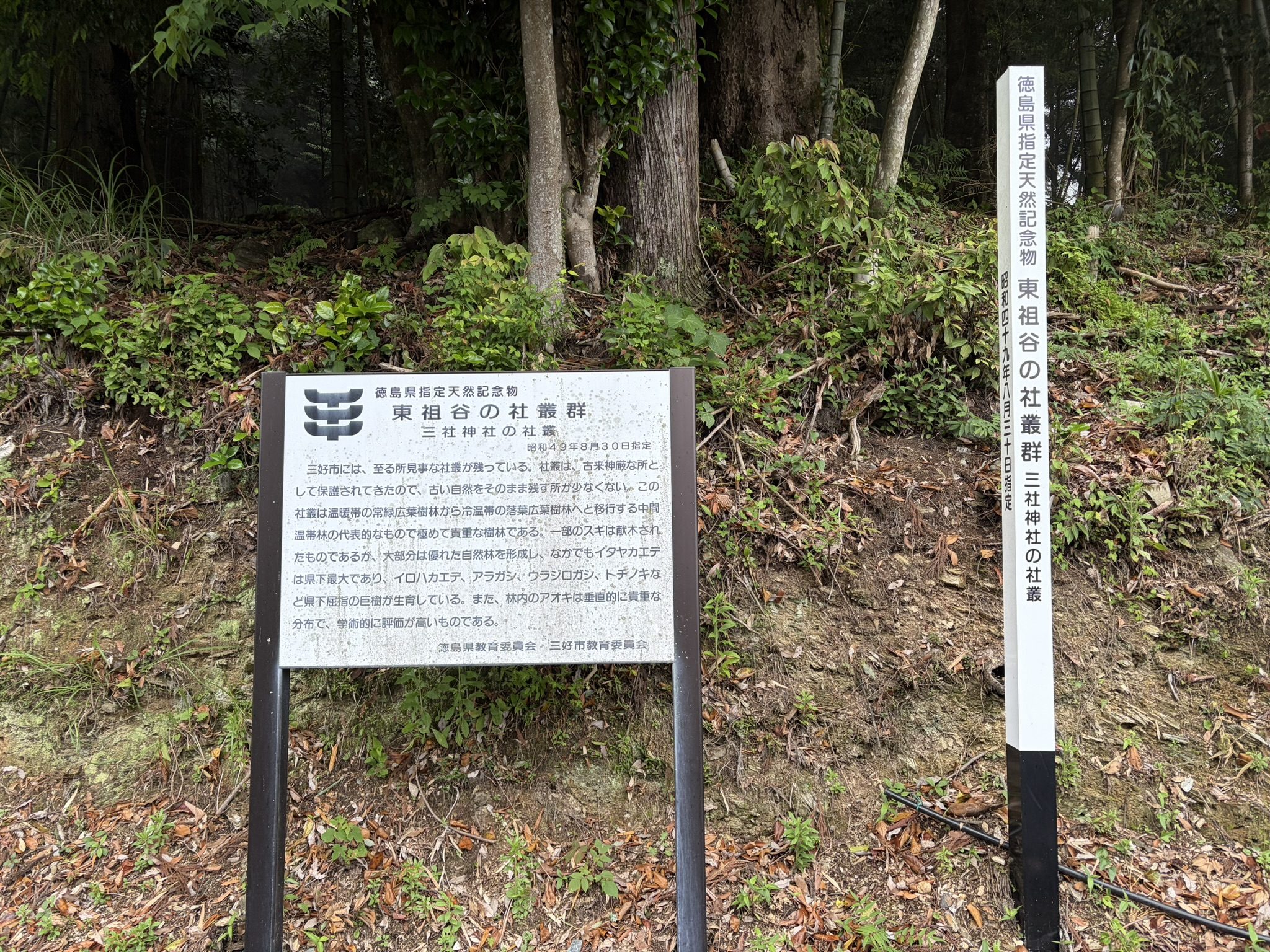 三社神社