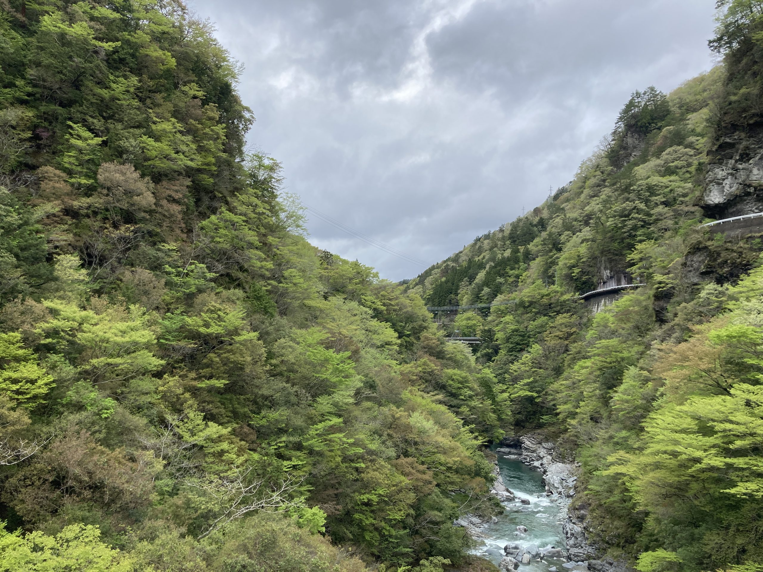 初夏の祖谷