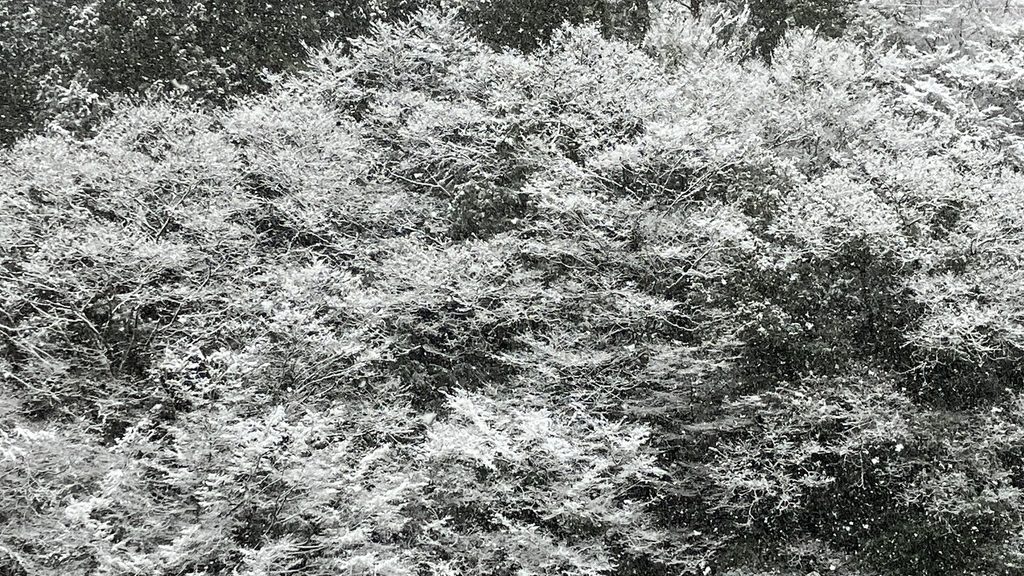雪が降った時の窓からの風景