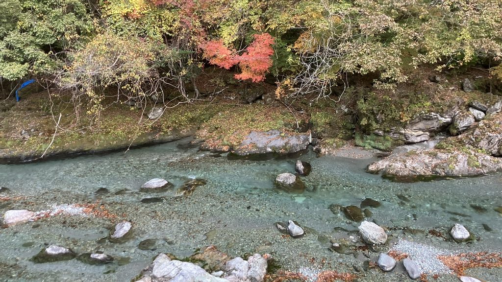 窓からの川の風景