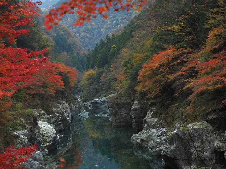 秋の祖谷渓