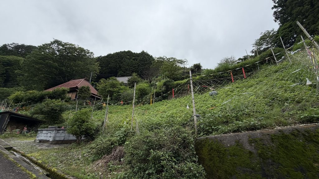 傾斜地農法ゾーン