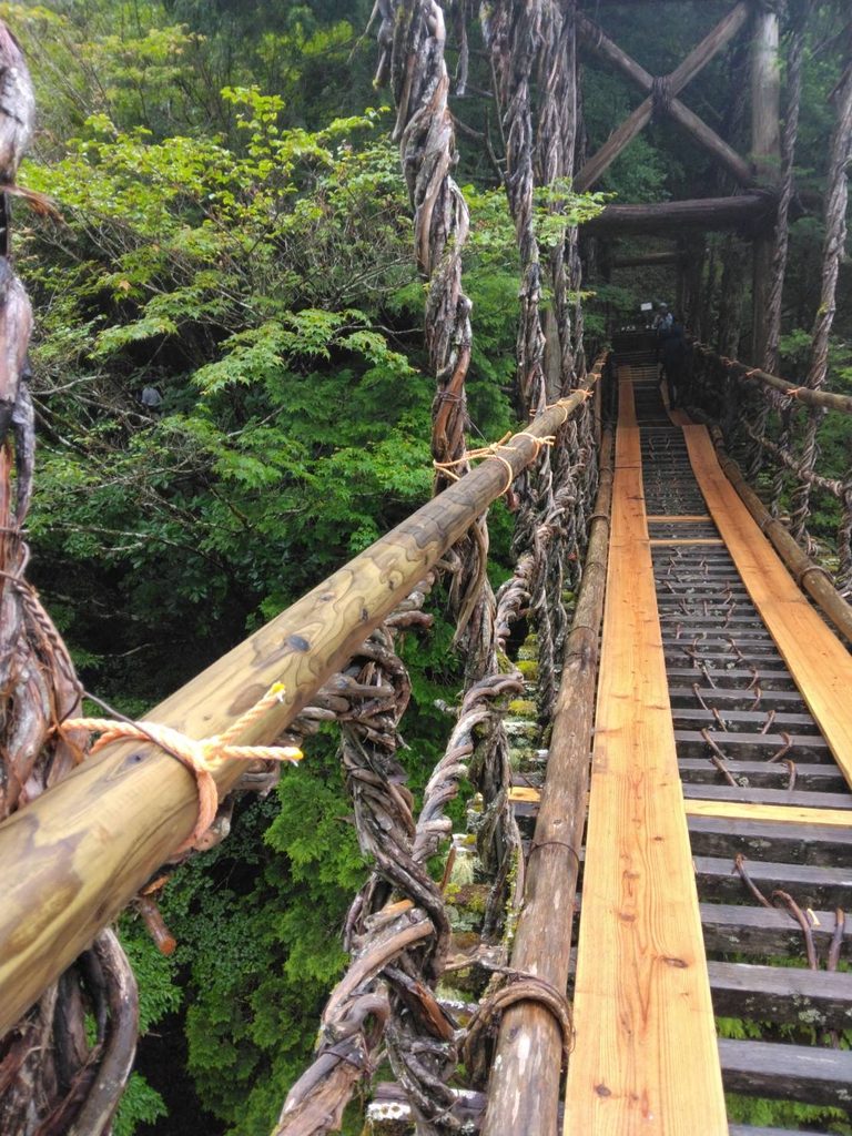 奥祖谷二重かずら橋、修繕の様子
