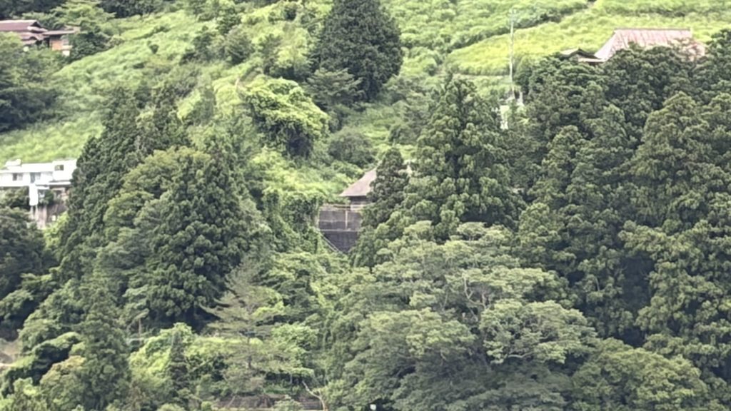 談山の屋根が見える風景