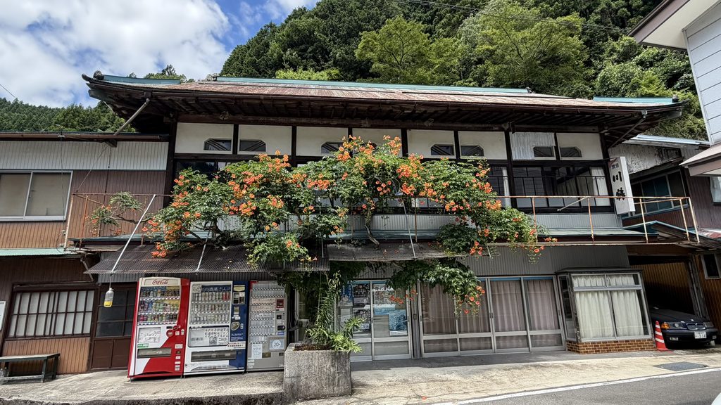 旧河井百貨店のノウゼンカズラ