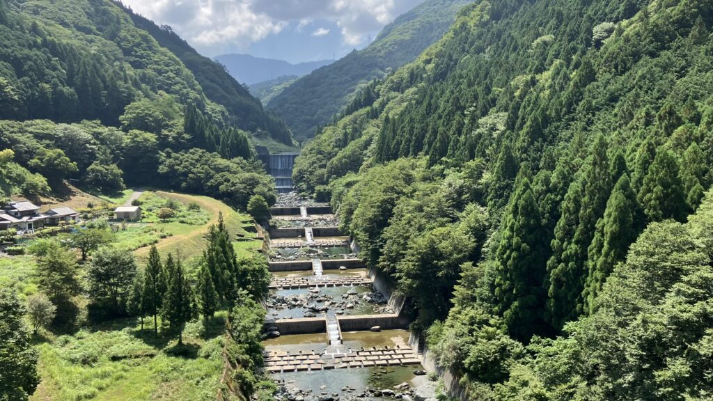 菅生大橋堰堤群
