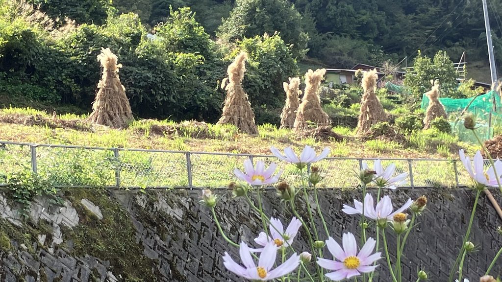 コエグロのある風景