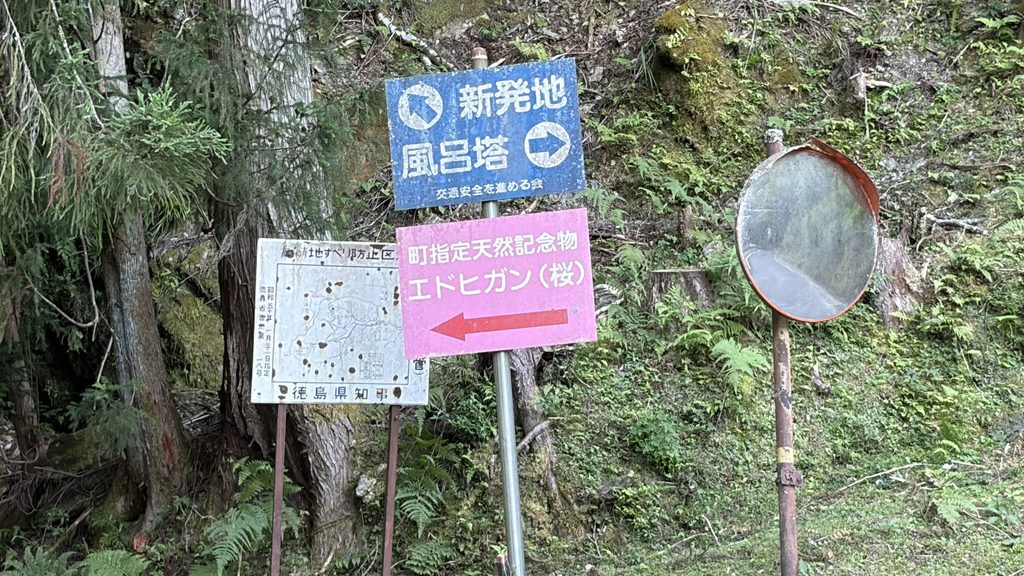 新発地への分岐