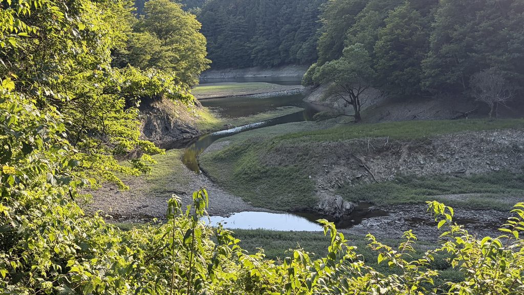 大きな淵