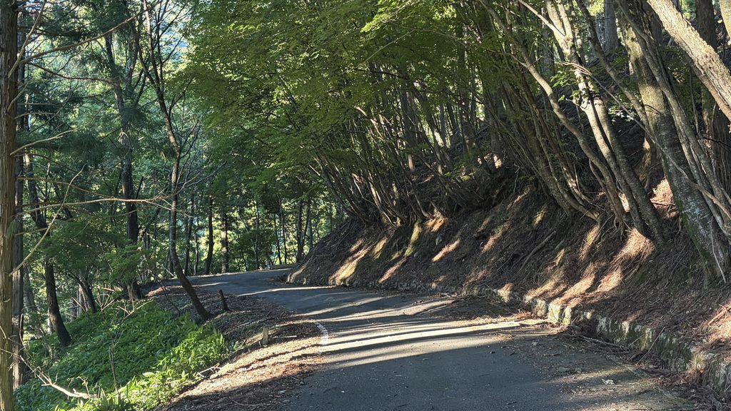 深淵の道路