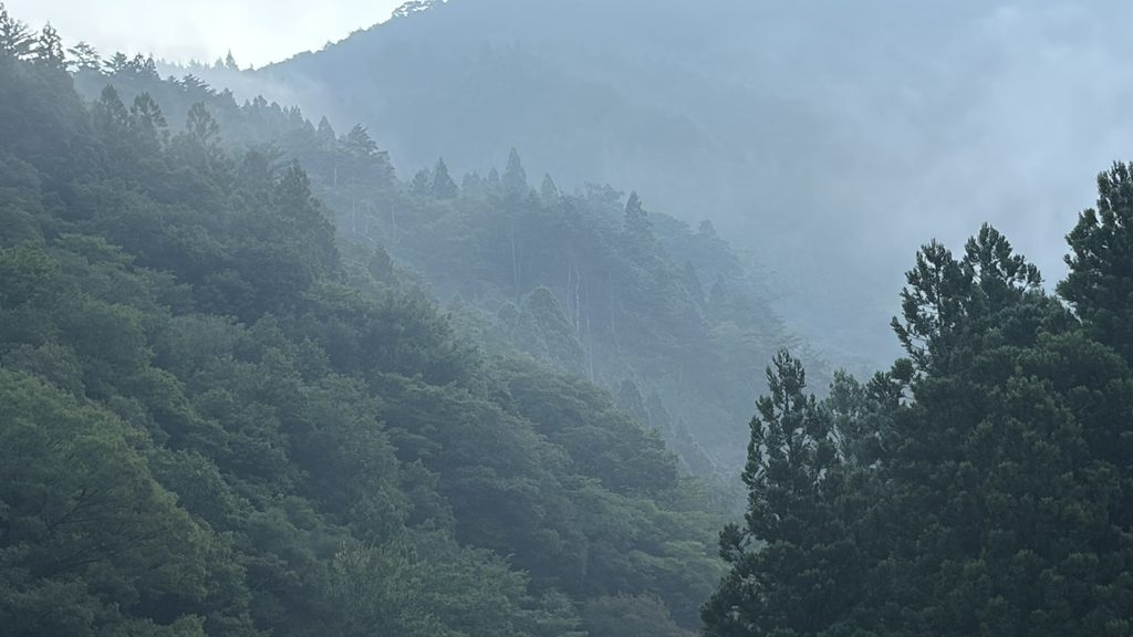 車庫上から見た対岸の山