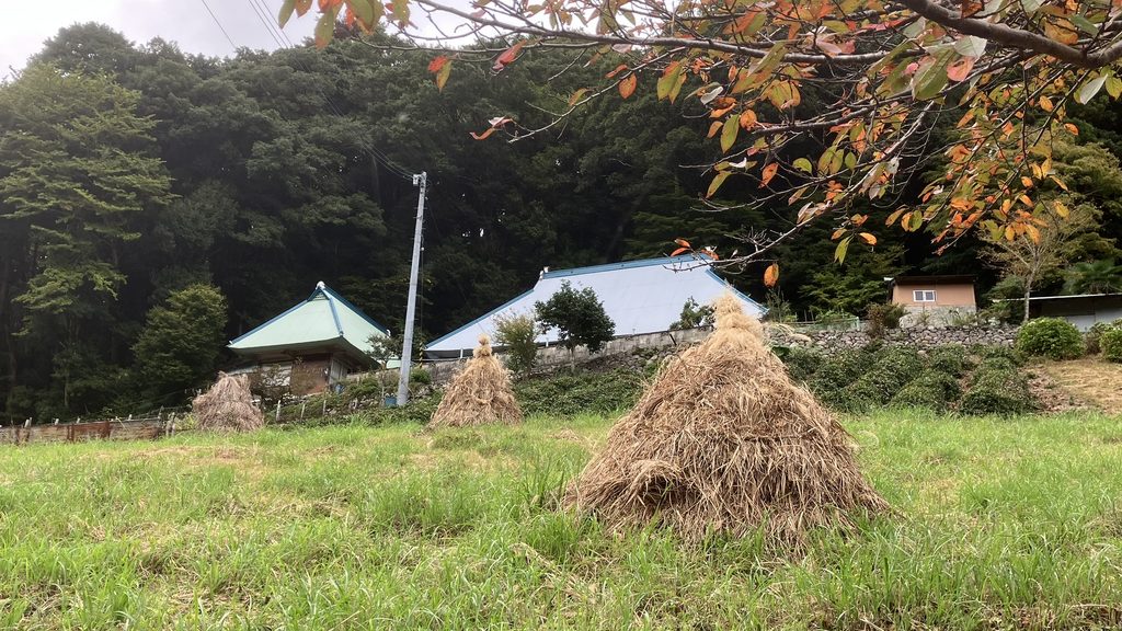 再びコエグロのある風景