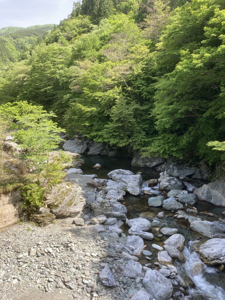 谷道の風景
