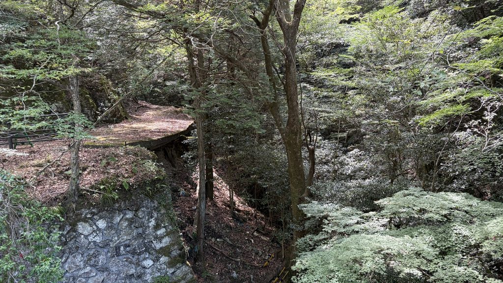 大宮谷の渓谷