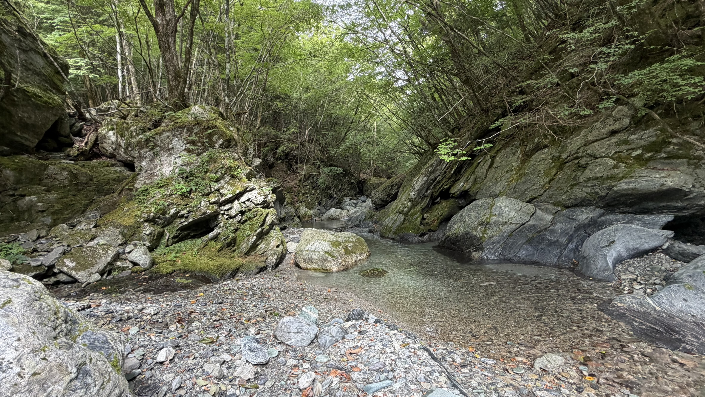 谷道の沢