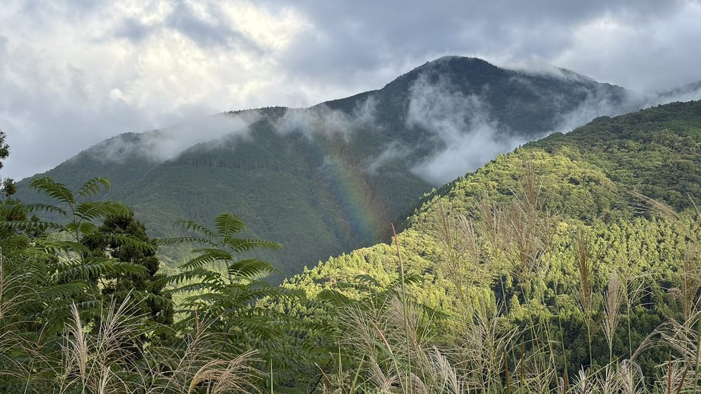 虹とススキと山霧のコラボ