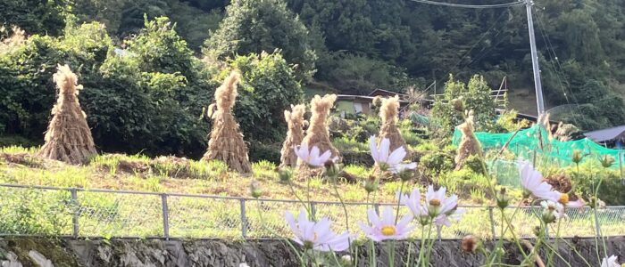 コエグロのある風景