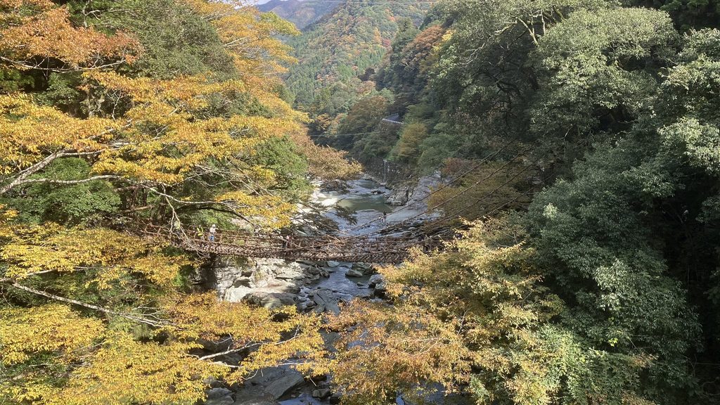 秋のかずら橋