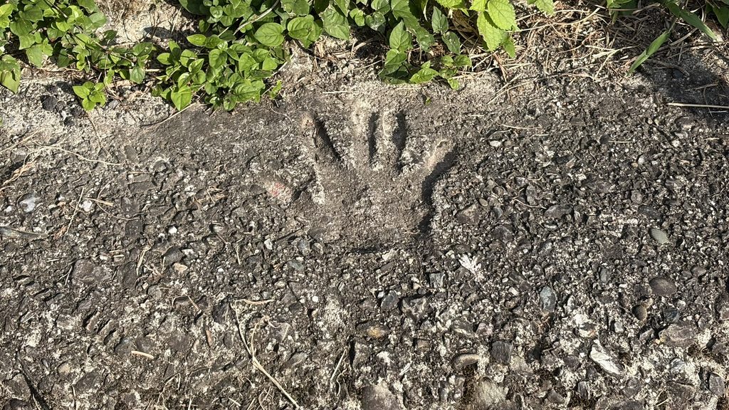 なこちへの階段に残された手の跡